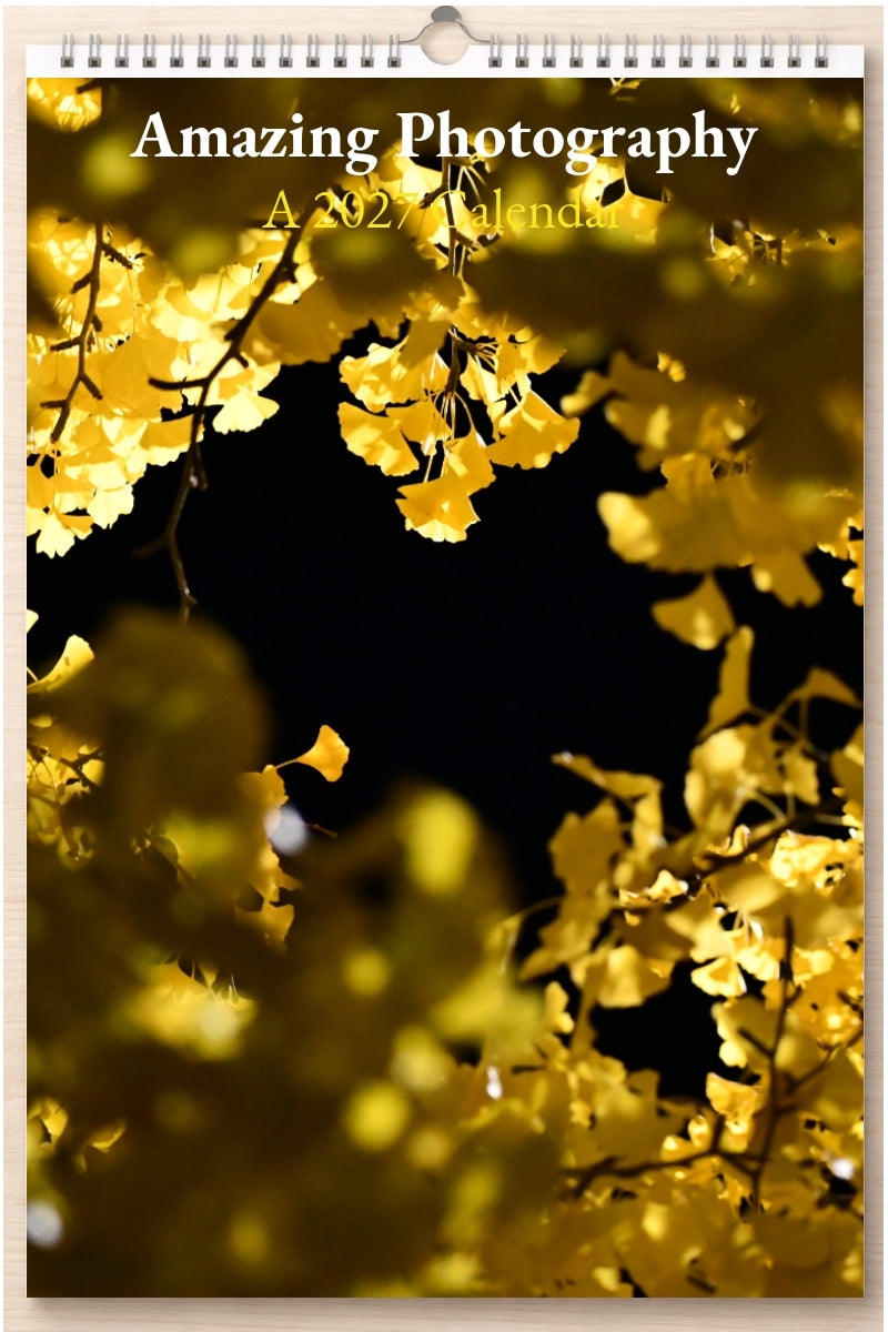 Amazing Photography: A 2027 Calendar