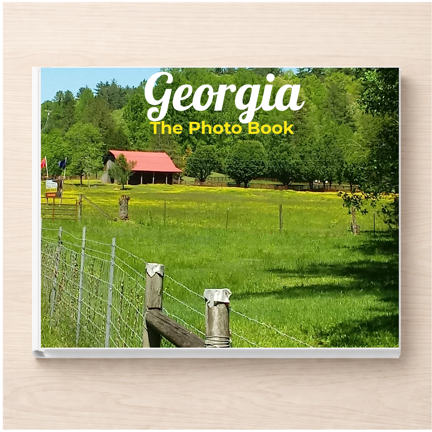 Georgia: The Photo Book