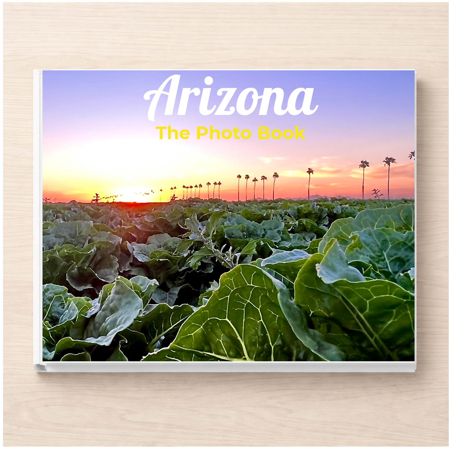 Arizona: The Photo Book