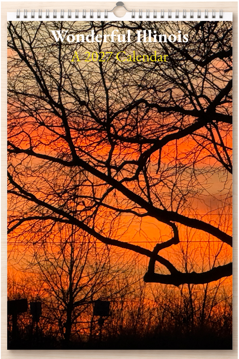 Wonderful Illinois: A 2027 Calendar