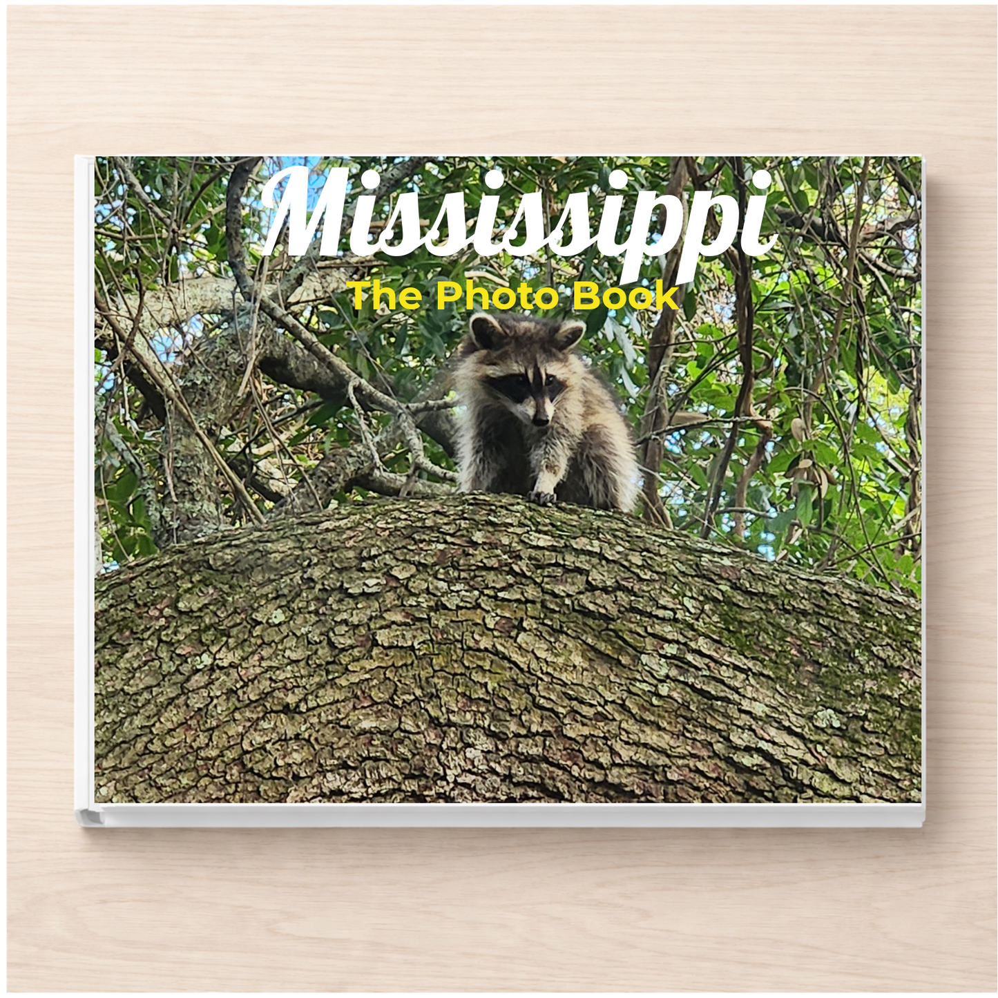 Mississippi: The Photo Book