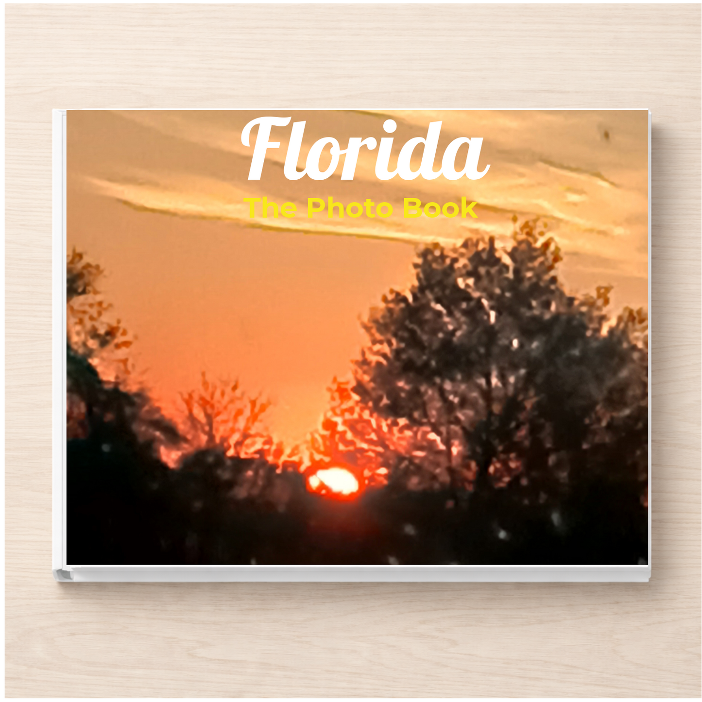 Florida: The Photo Book