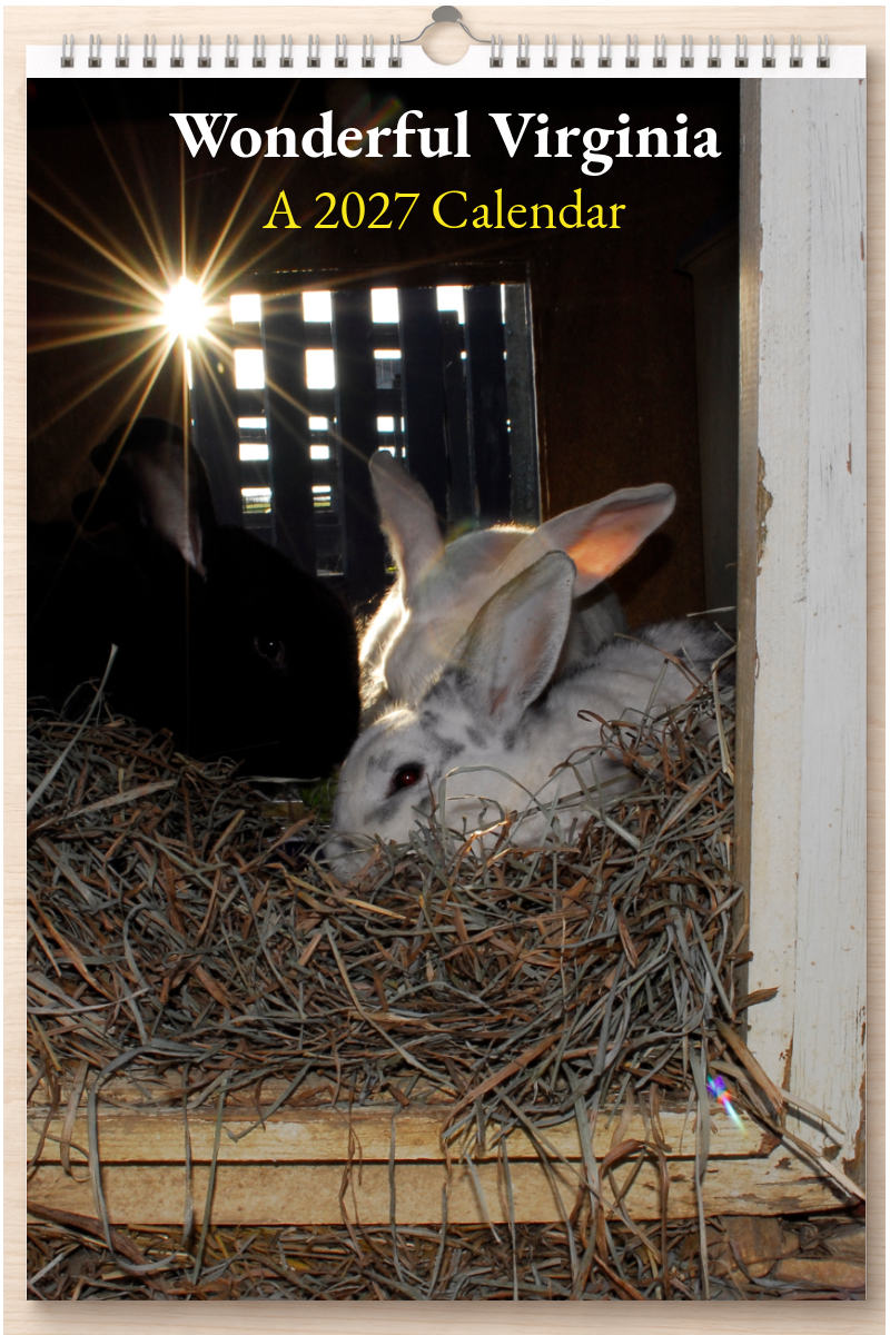 Wonderful Virginia: A 2027 Calendar