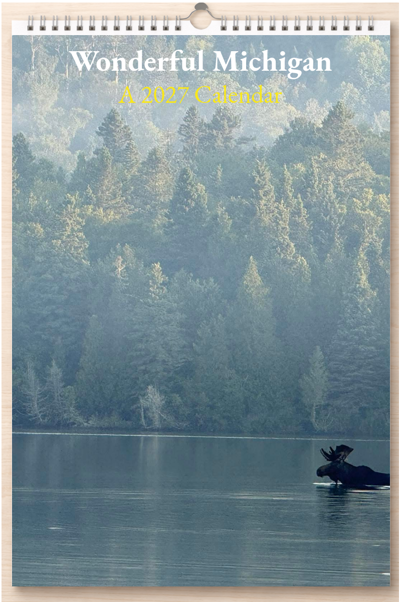 Wonderful Michigan: A 2027 Calendar