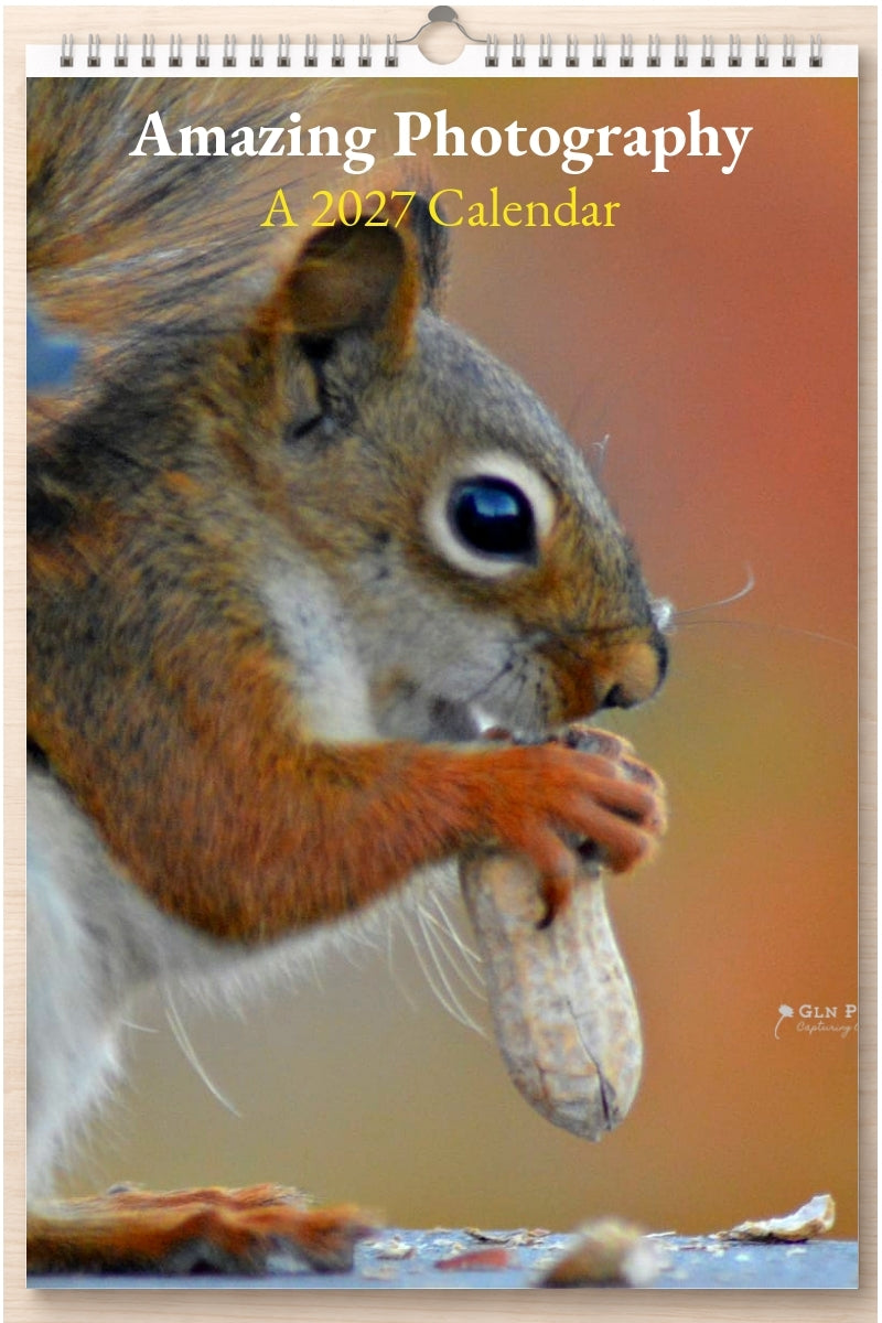 Amazing Photography: A 2027 Calendar