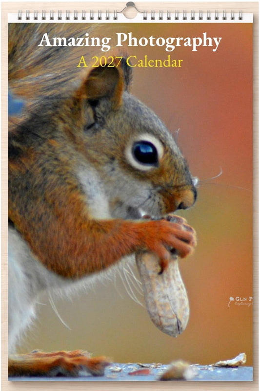 Amazing Photography: A 2027 Calendar