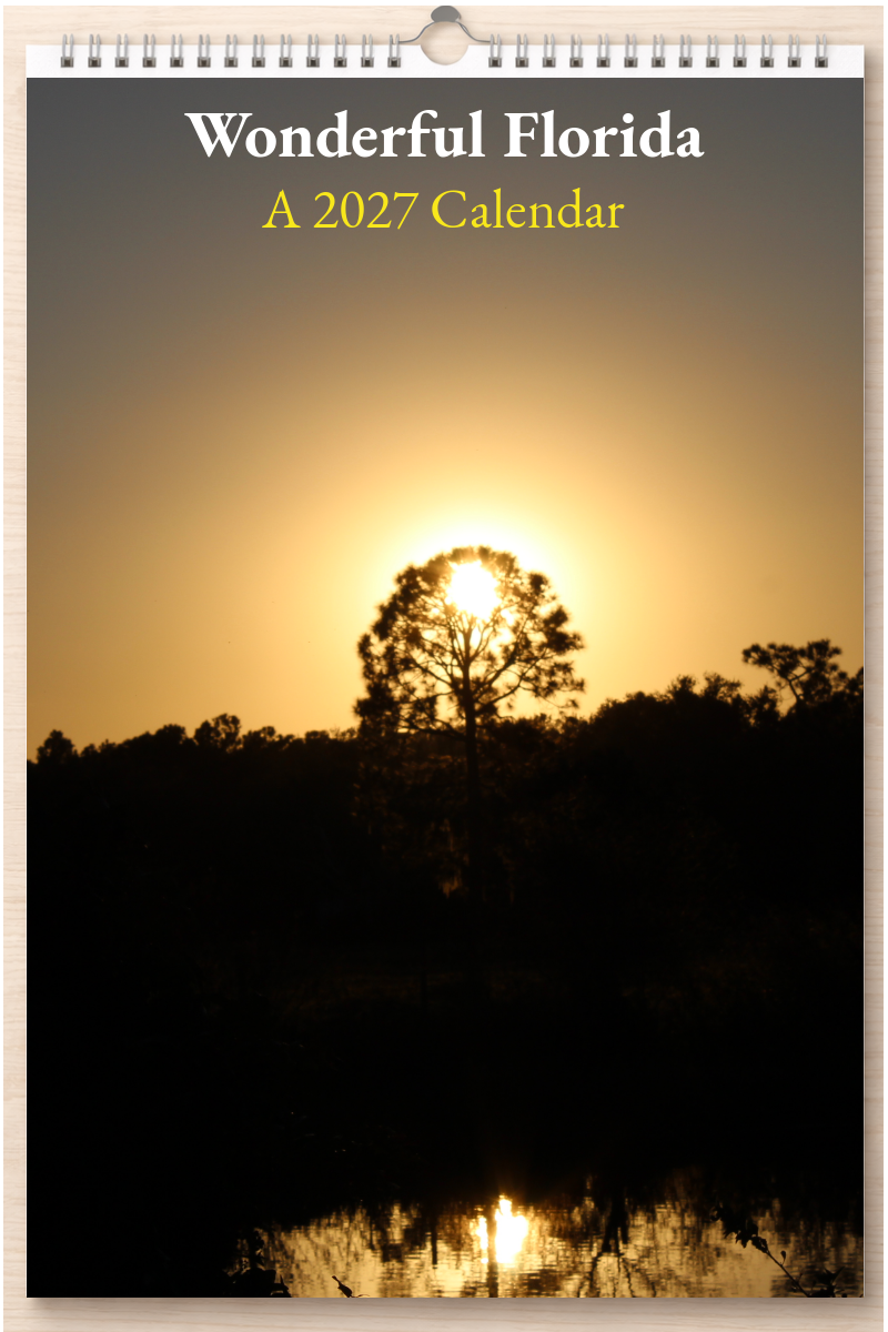 Wonderful Florida: A 2027 Calendar