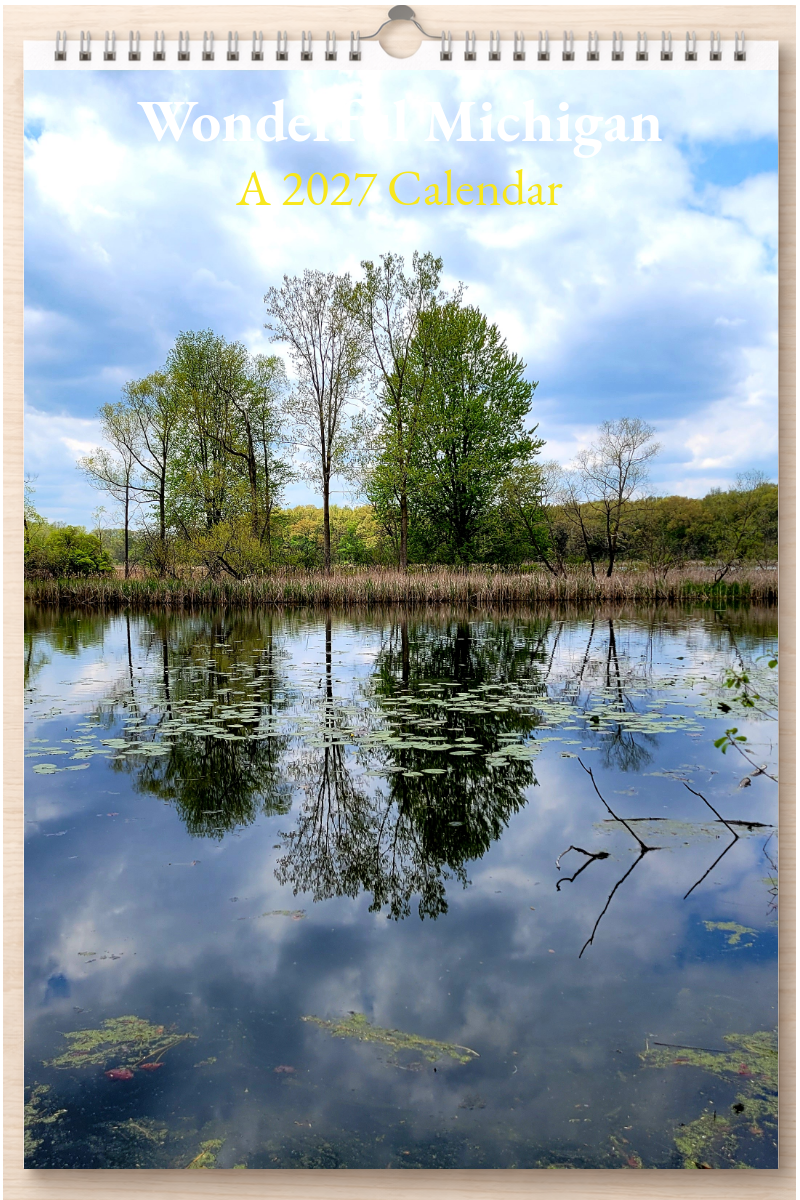 Wonderful Michigan: A 2027 Calendar