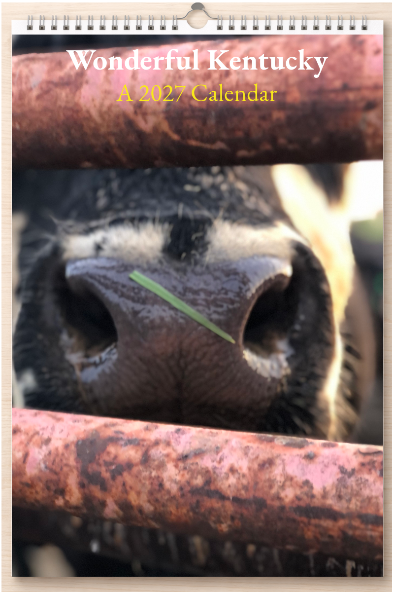 Wonderful Kentucky: A 2027 Calendar