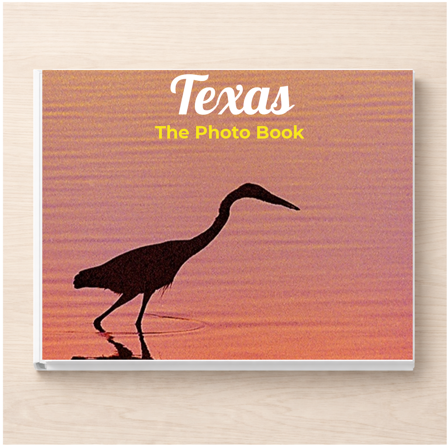 Texas: The Photo Book