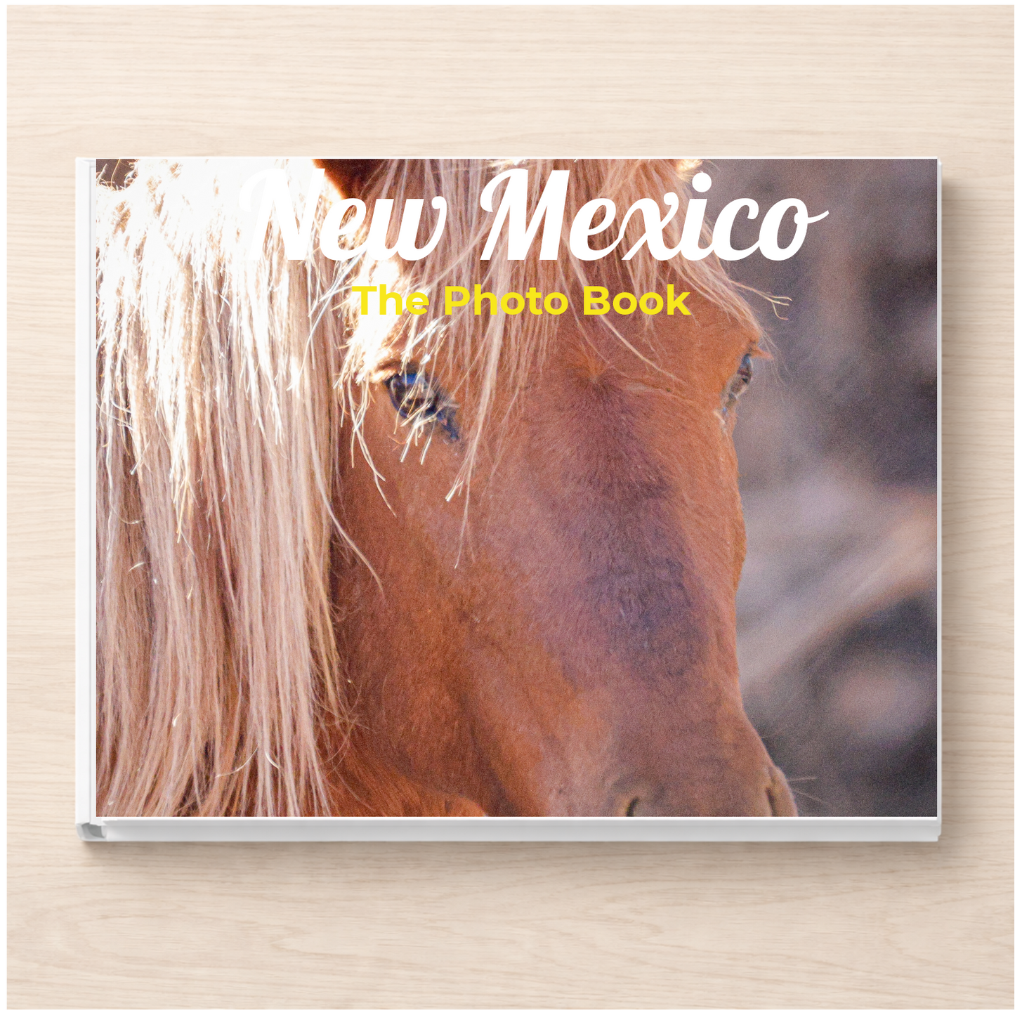 New Mexico: The Photo Book
