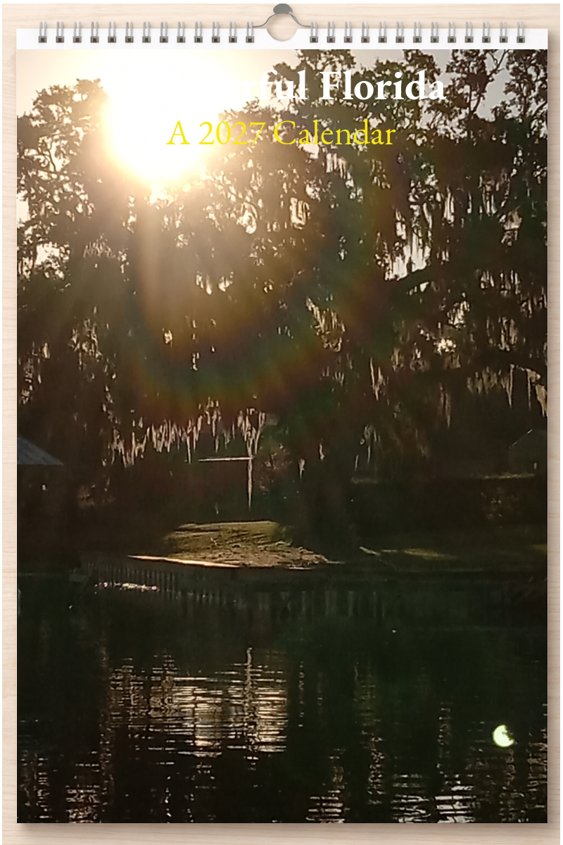 Wonderful Florida: A 2027 Calendar