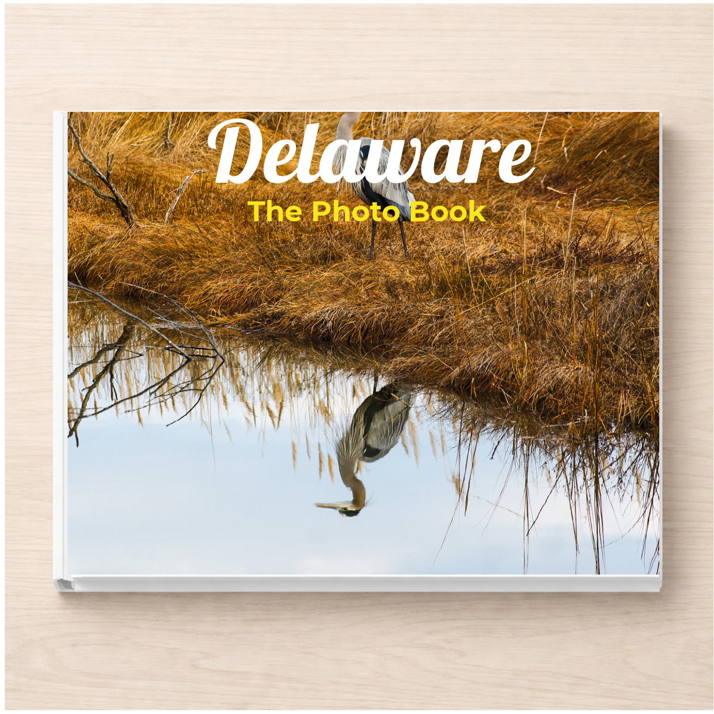 Delaware: The Photo Book
