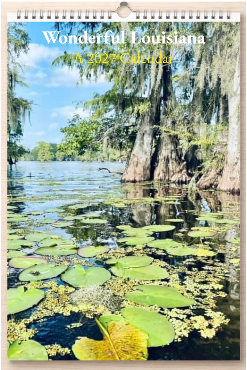 Wonderful Louisiana: A 2027 Calendar