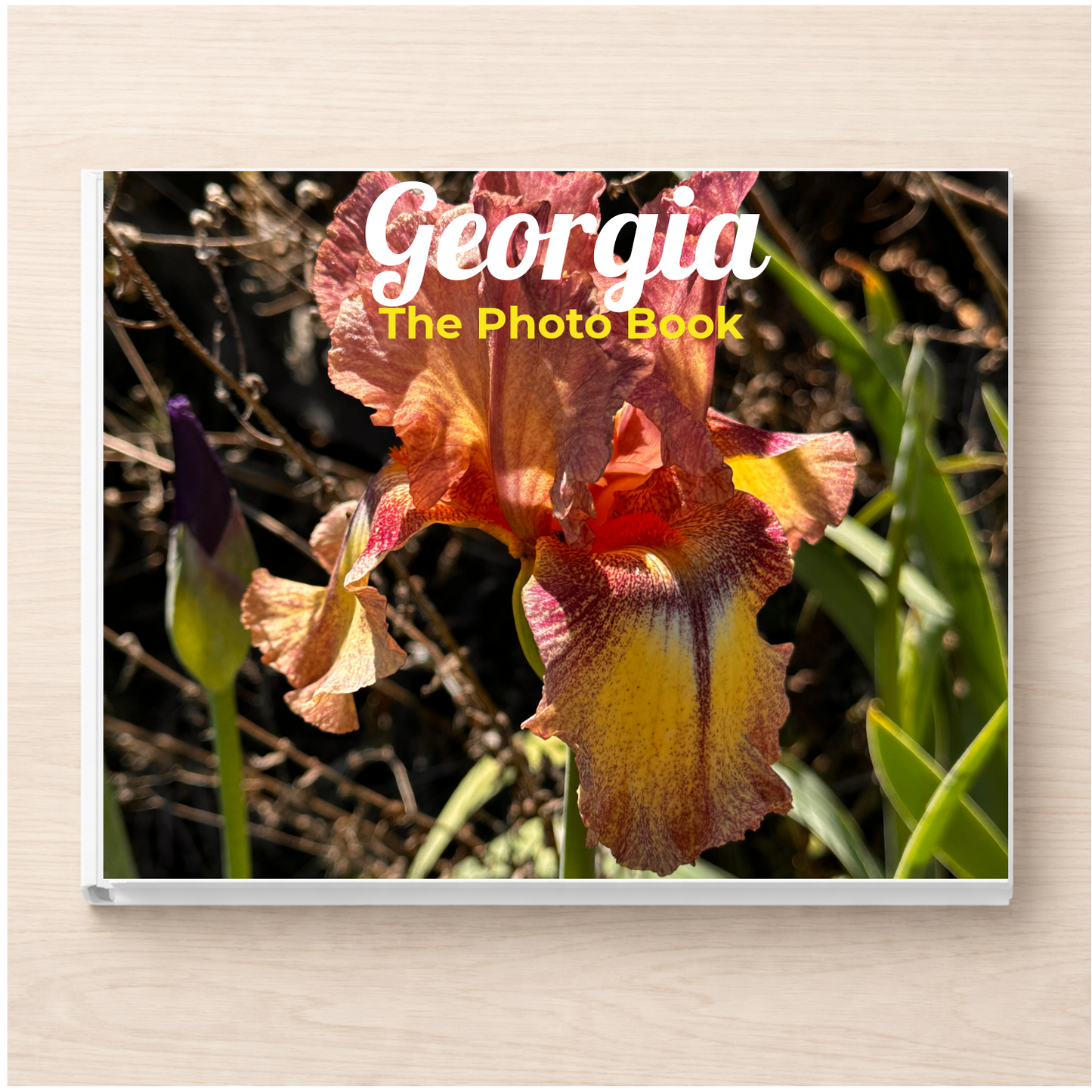 Georgia: The Photo Book