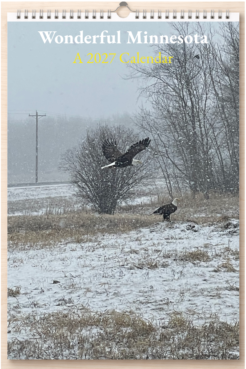 Wonderful Minnesota: A 2027 Calendar