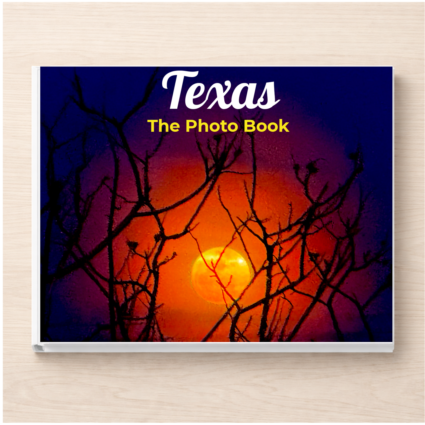 Texas: The Photo Book