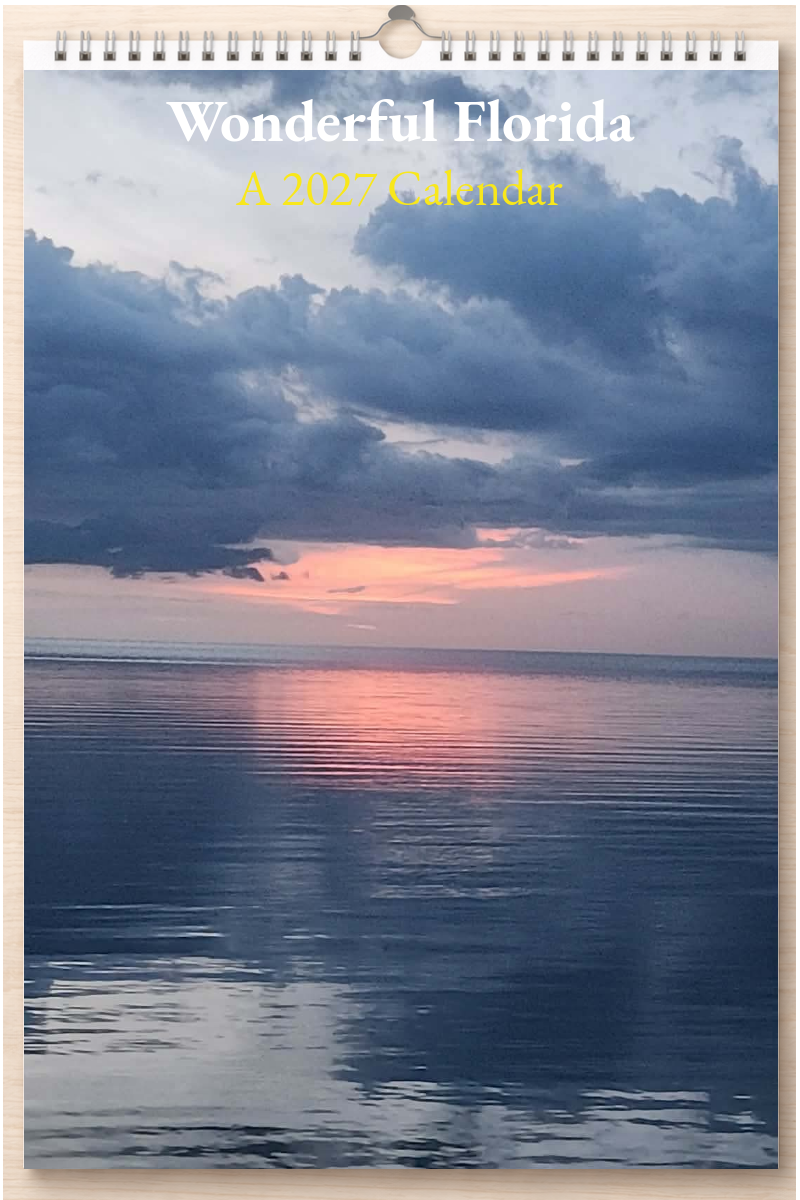 Wonderful Florida: A 2027 Calendar