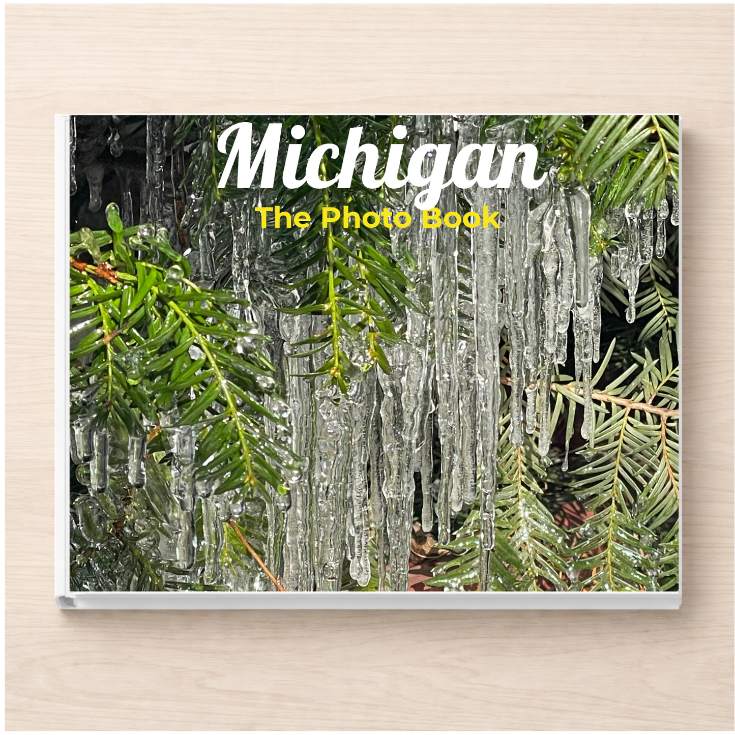 Michigan: The Photo Book