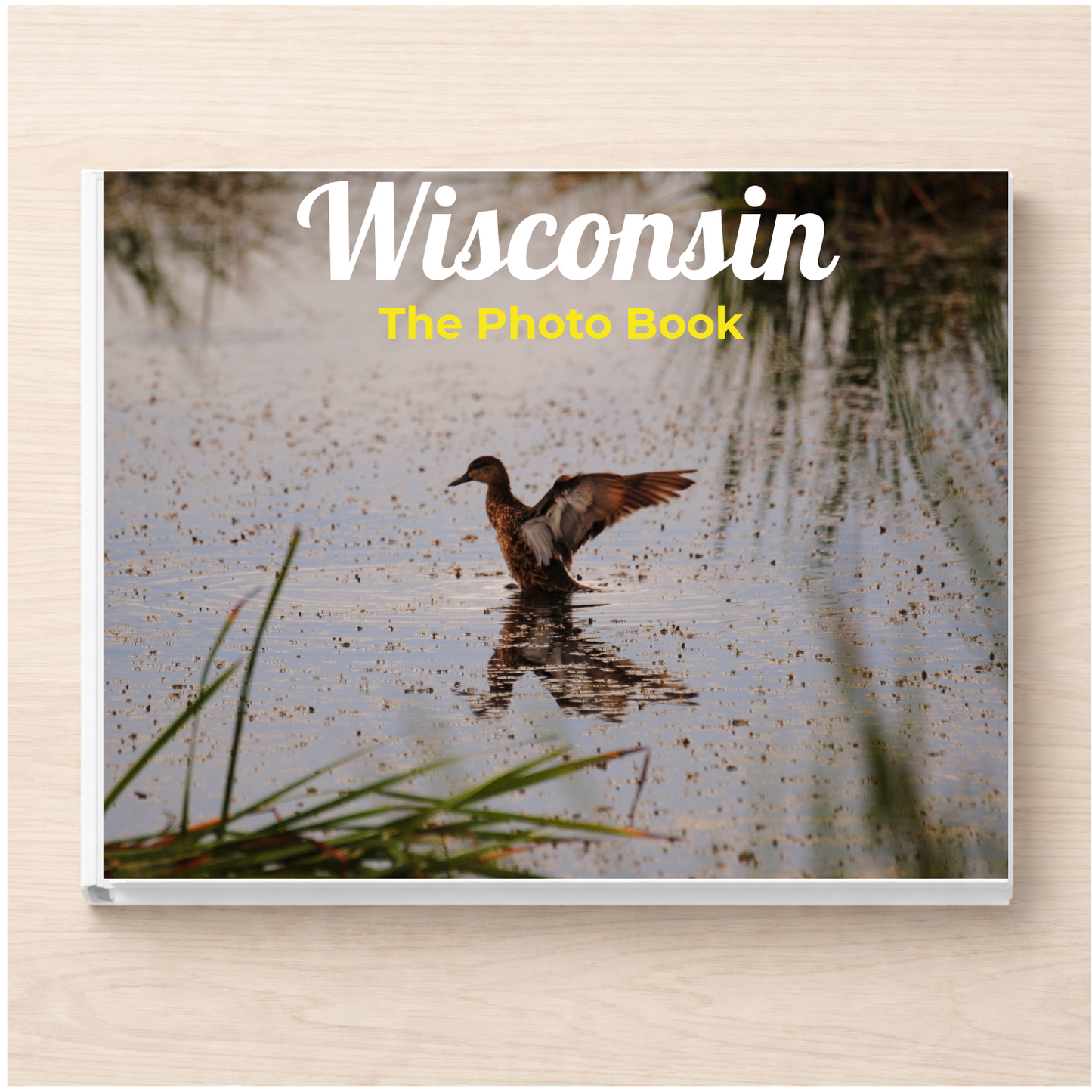 Wisconsin: The Photo Book