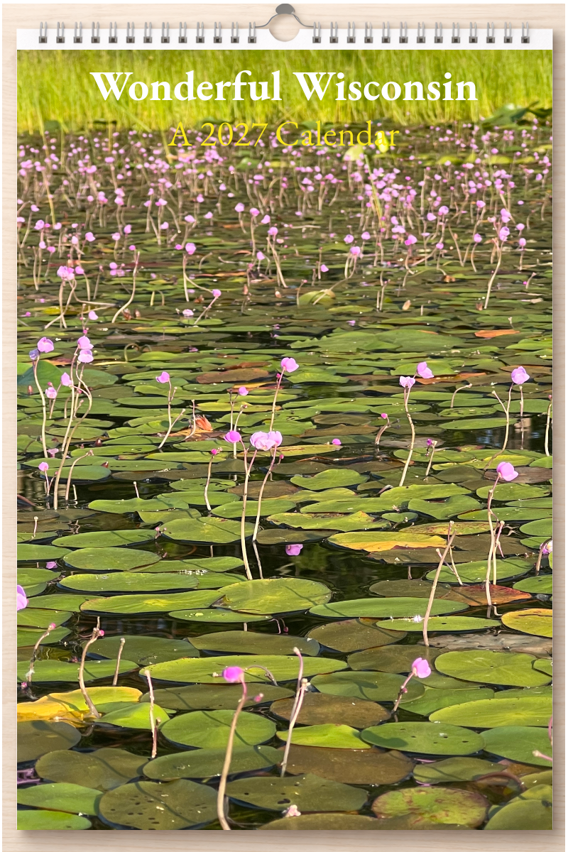 Wonderful Wisconsin: A 2027 Calendar