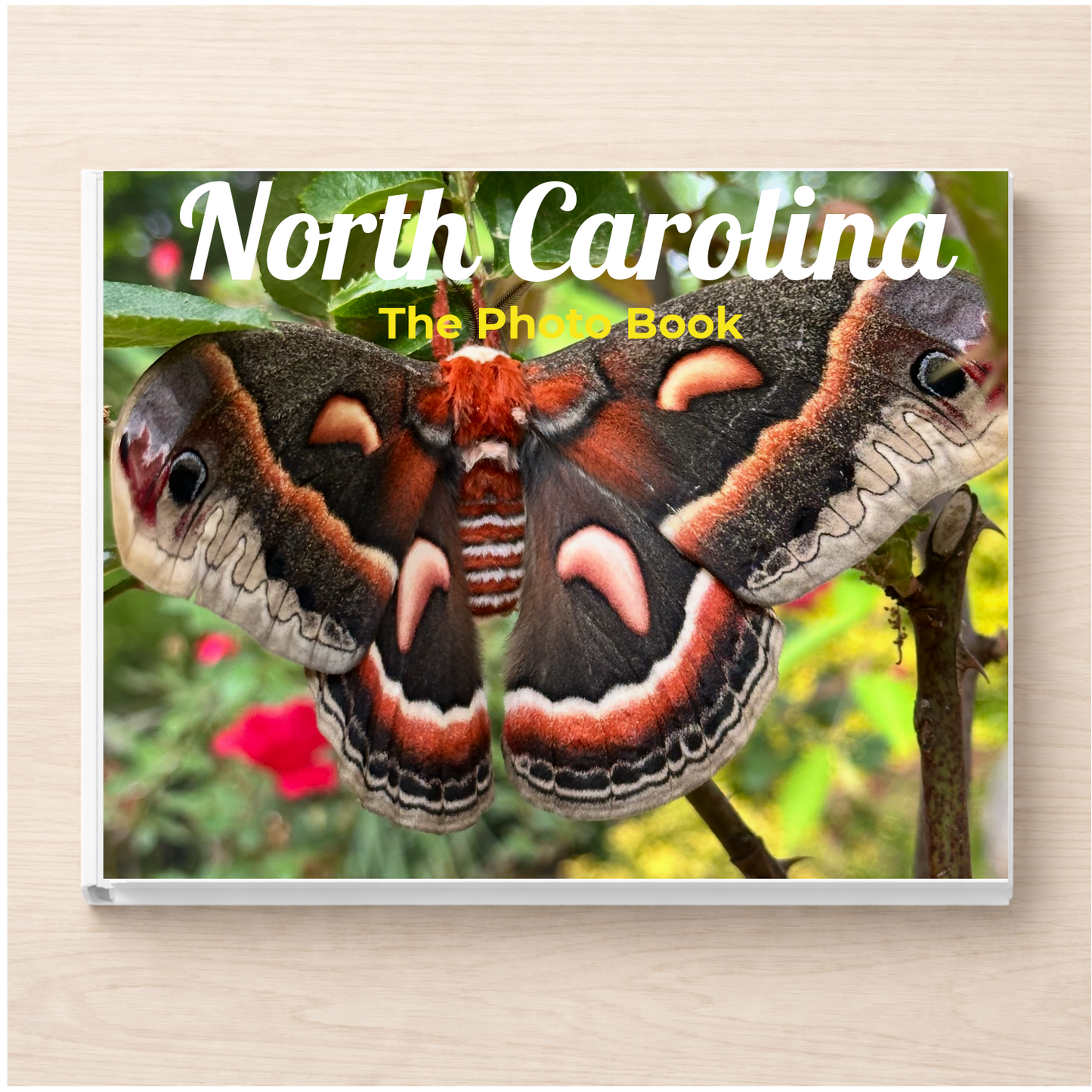 North Carolina: The Photo Book