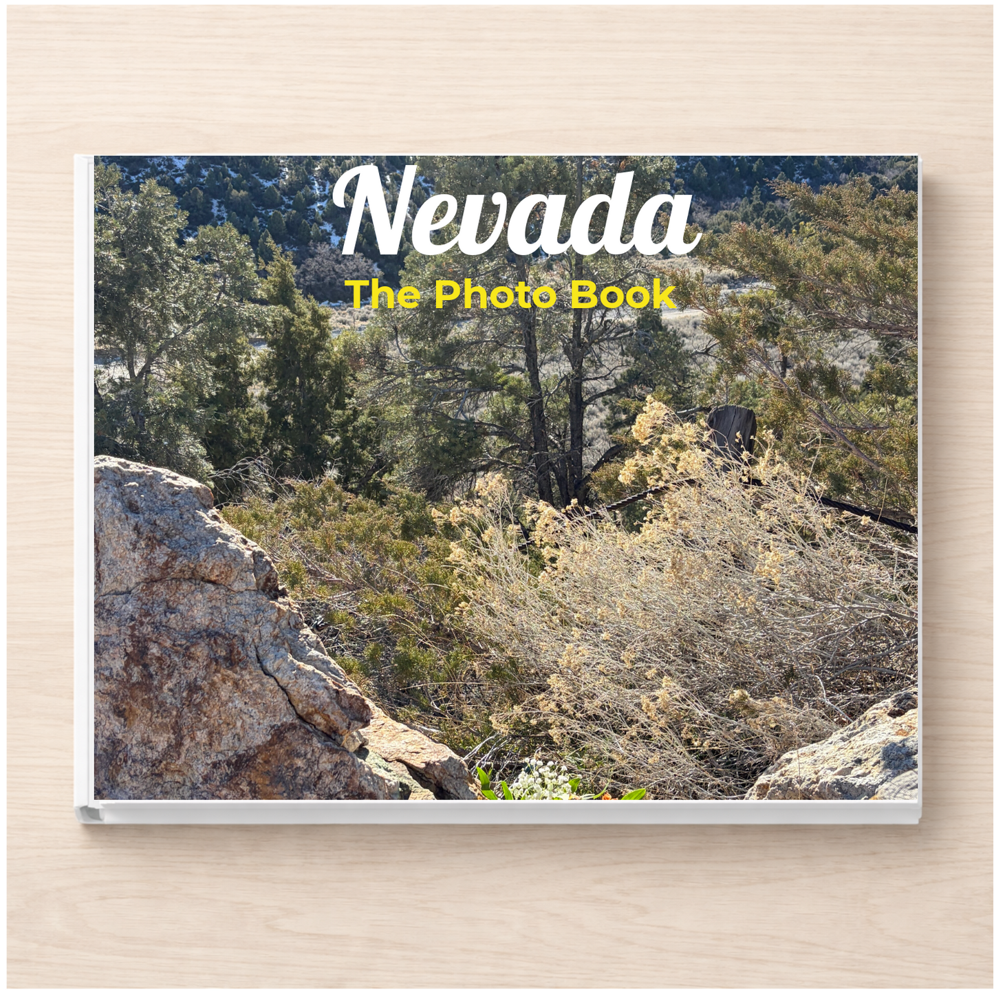 Nevada: The Photo Book