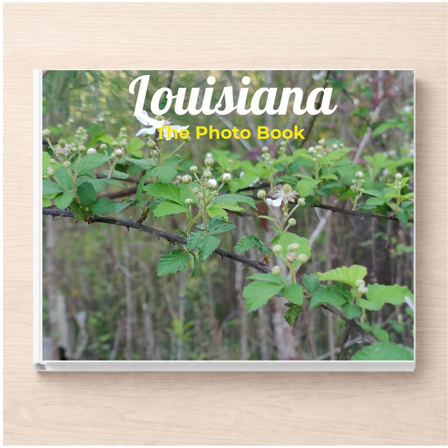 Louisiana: The Photo Book