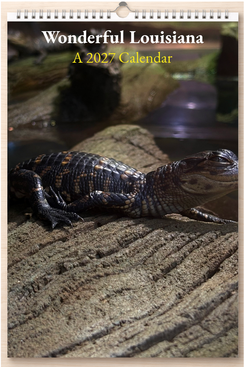 Wonderful Louisiana: A 2027 Calendar