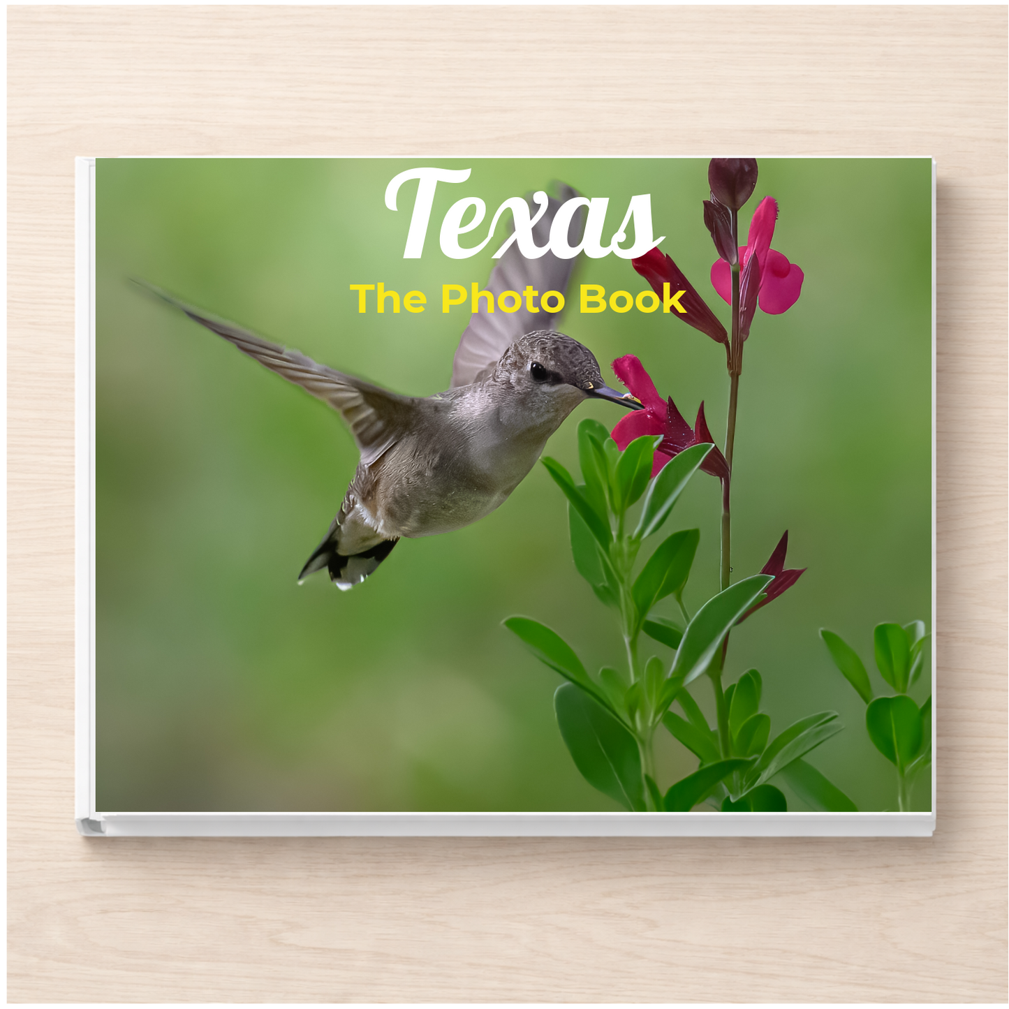 Texas: The Photo Book