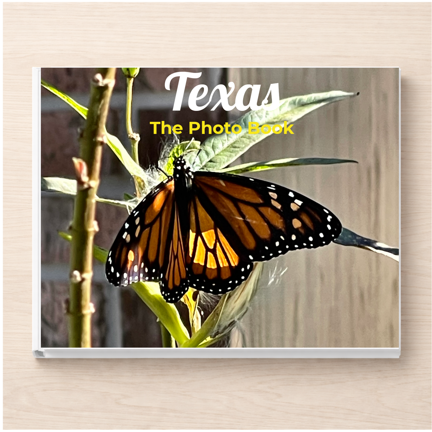 Texas: The Photo Book