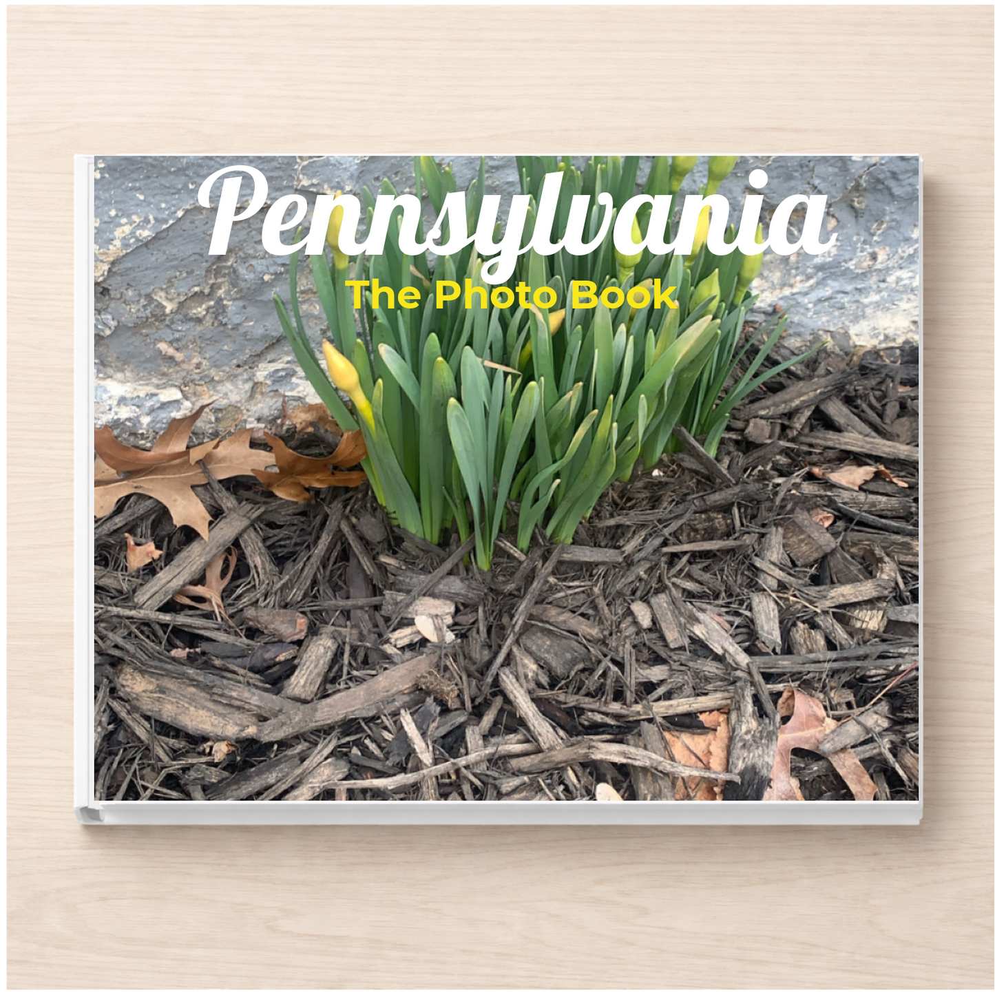 Pennsylvania: The Photo Book