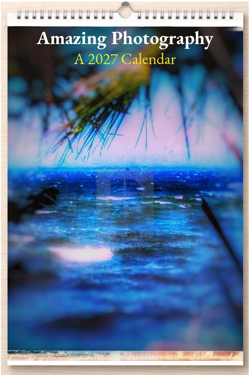 Amazing Photography: A 2027 Calendar