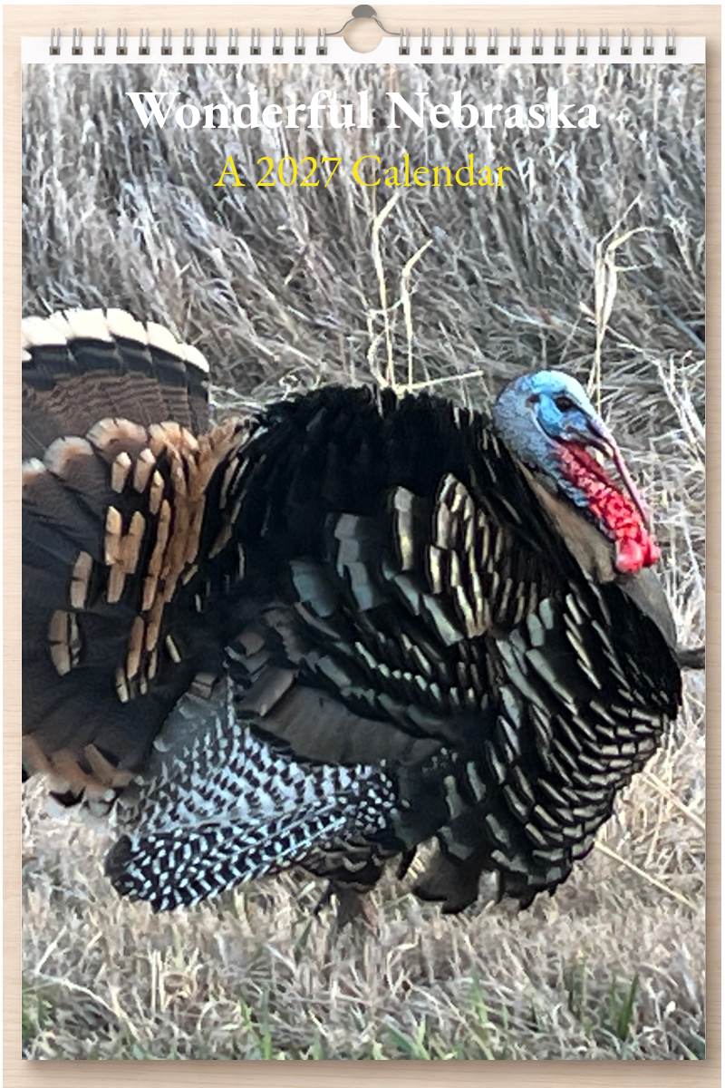 Wonderful Nebraska: A 2027 Calendar