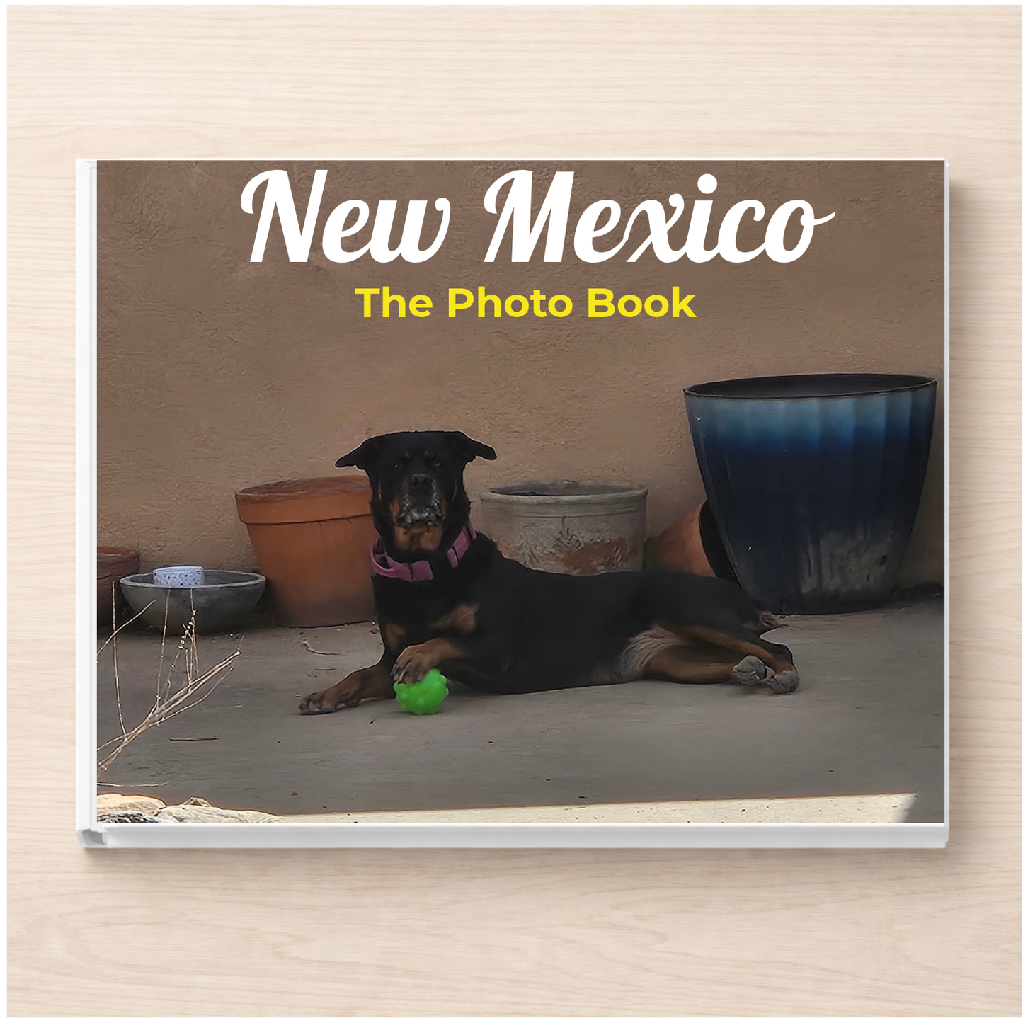 New Mexico: The Photo Book