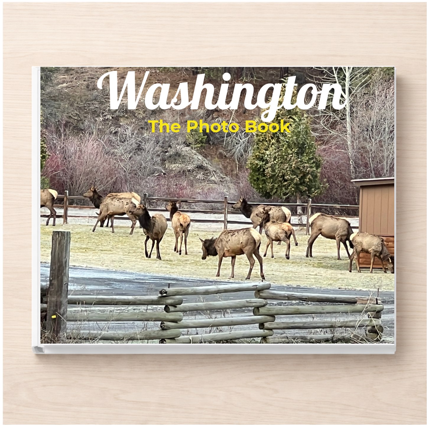 Washington: The Photo Book