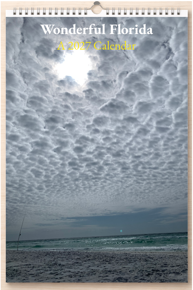 Wonderful Florida: A 2027 Calendar