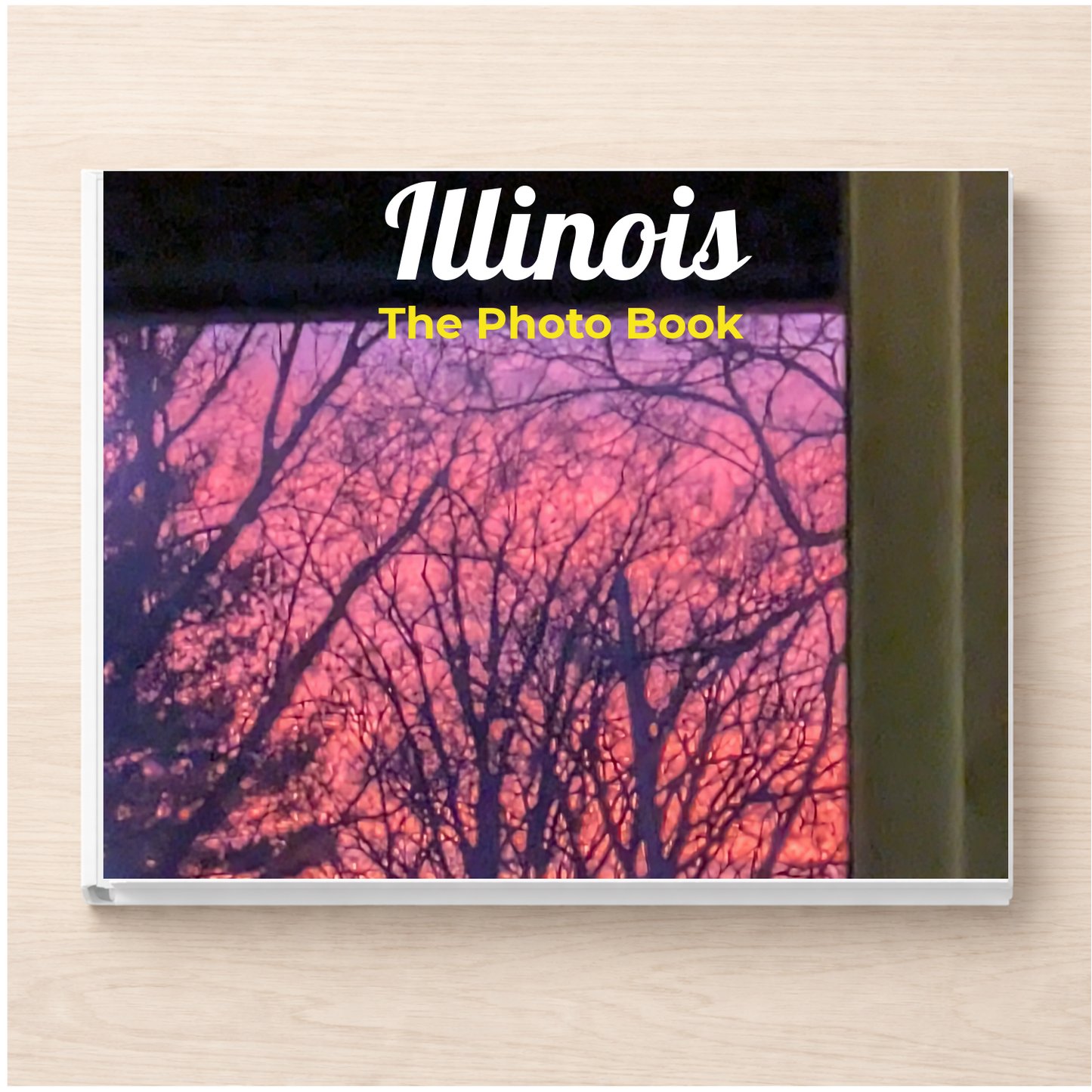 Illinois: The Photo Book