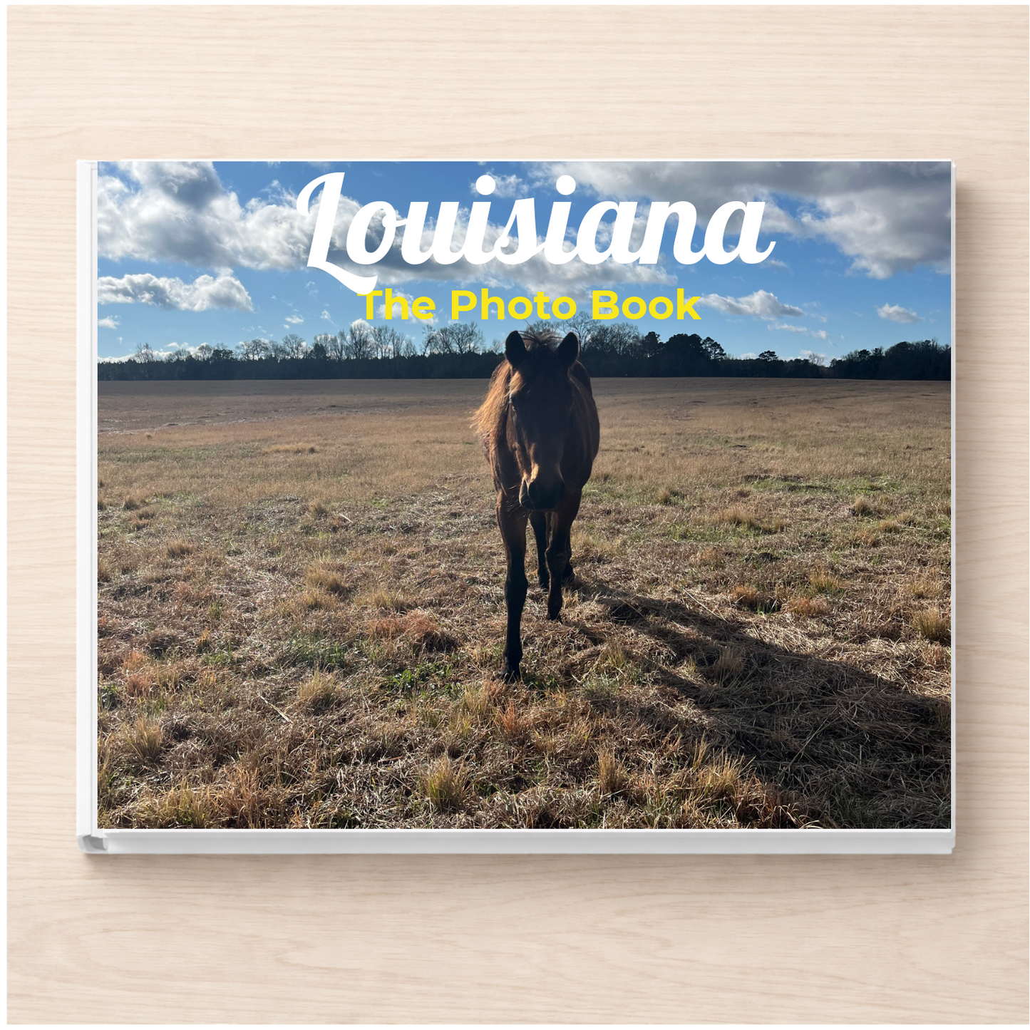 Louisiana: The Photo Book