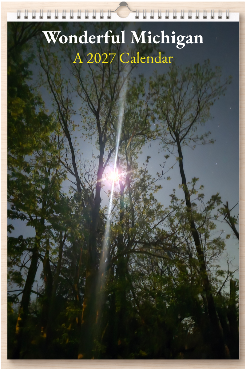 Wonderful Michigan: A 2027 Calendar