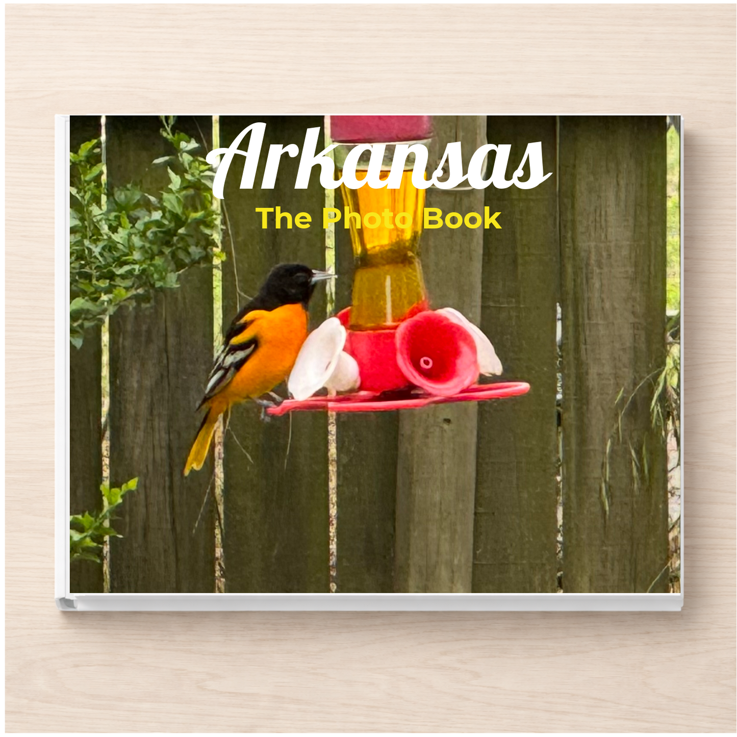 Arkansas: The Photo Book