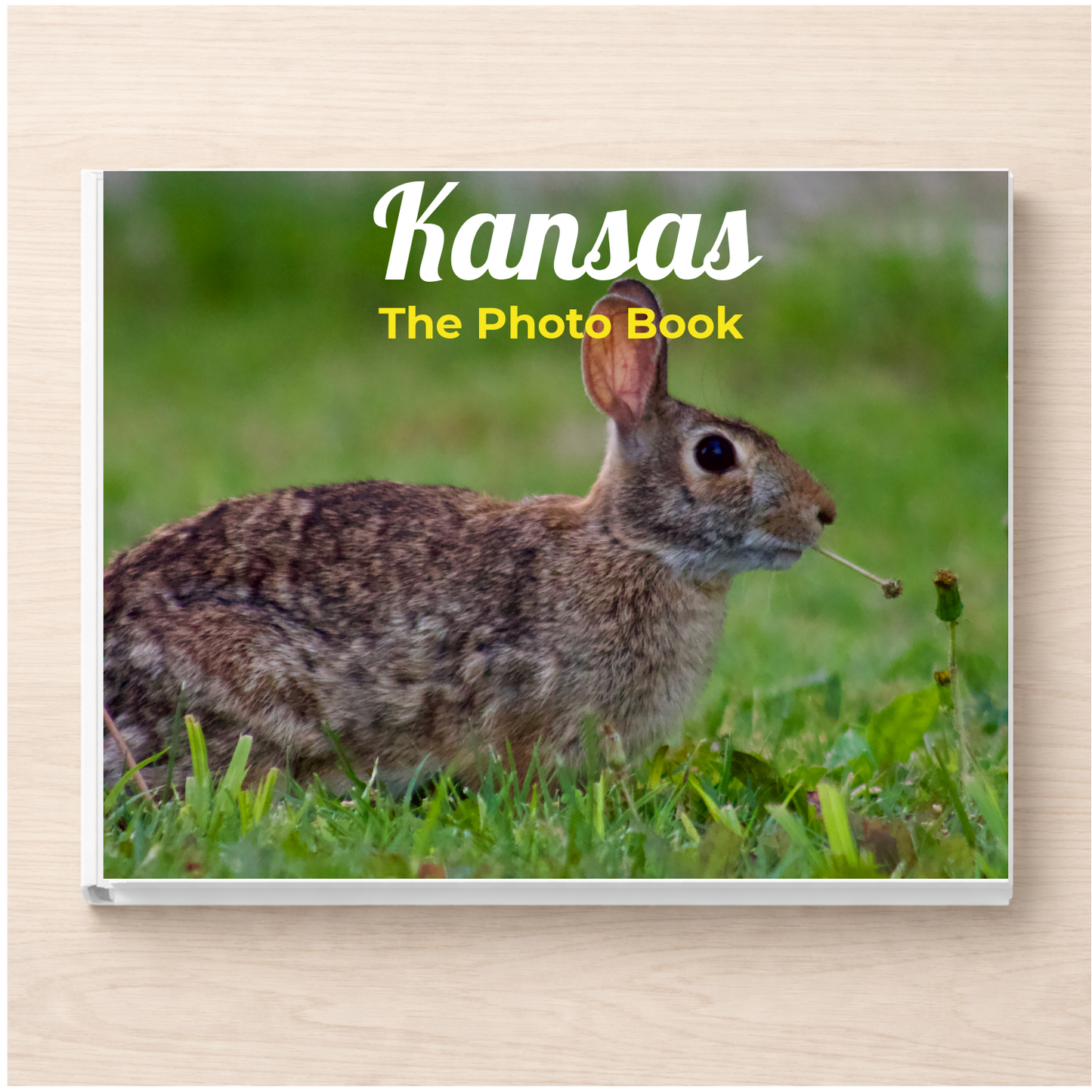 Kansas: The Photo Book