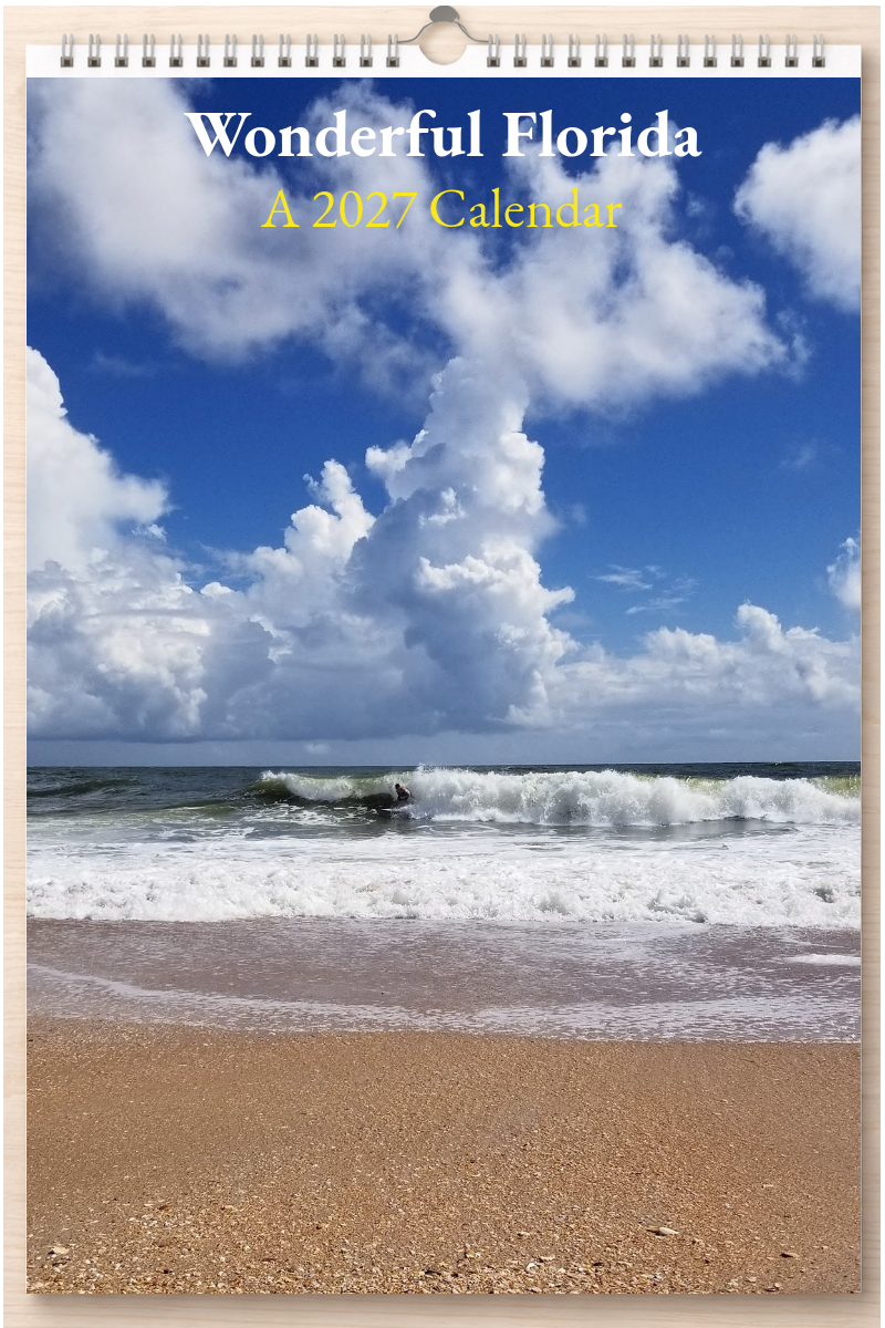Wonderful Florida: A 2027 Calendar