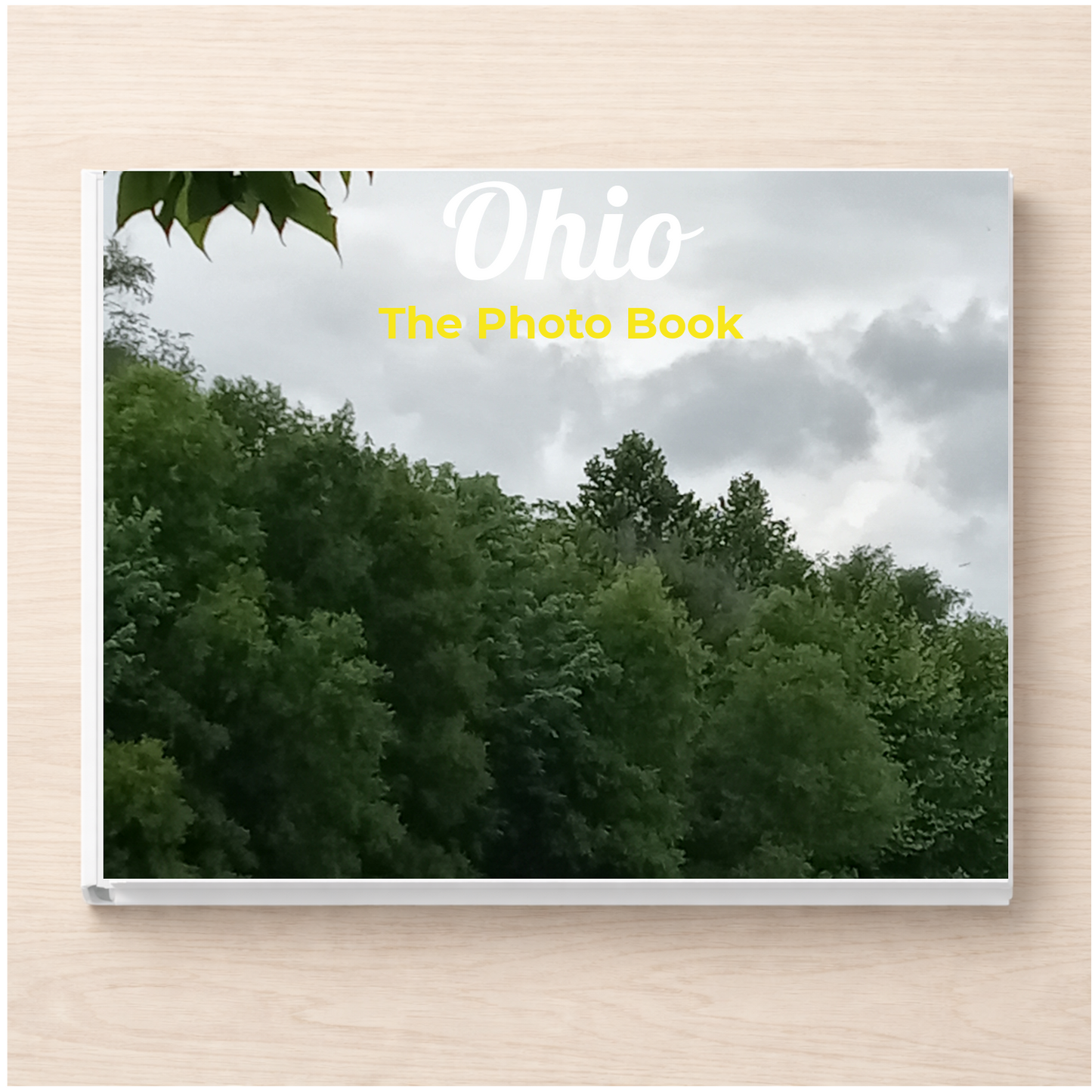 Ohio: The Photo Book