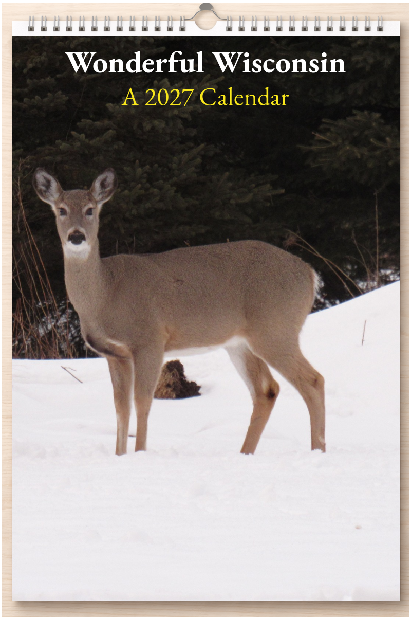 Wonderful Wisconsin: A 2027 Calendar
