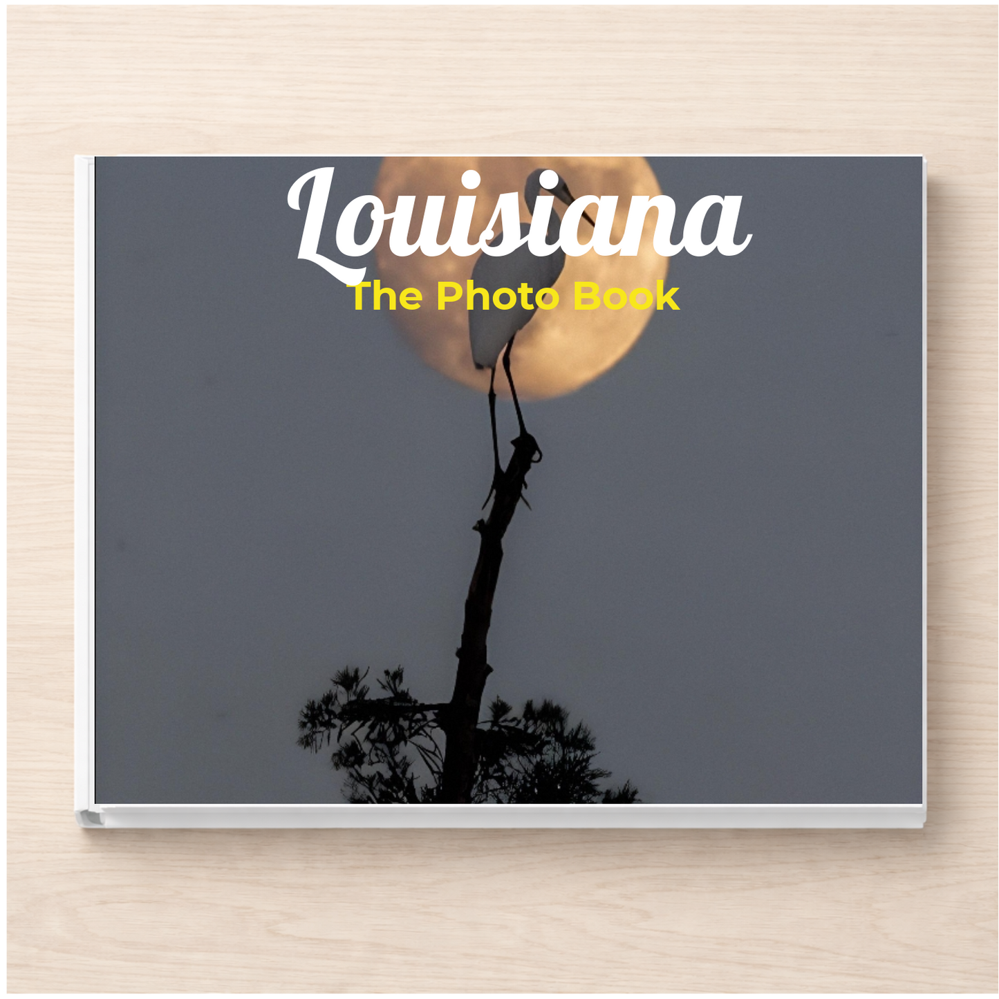 Louisiana: The Photo Book