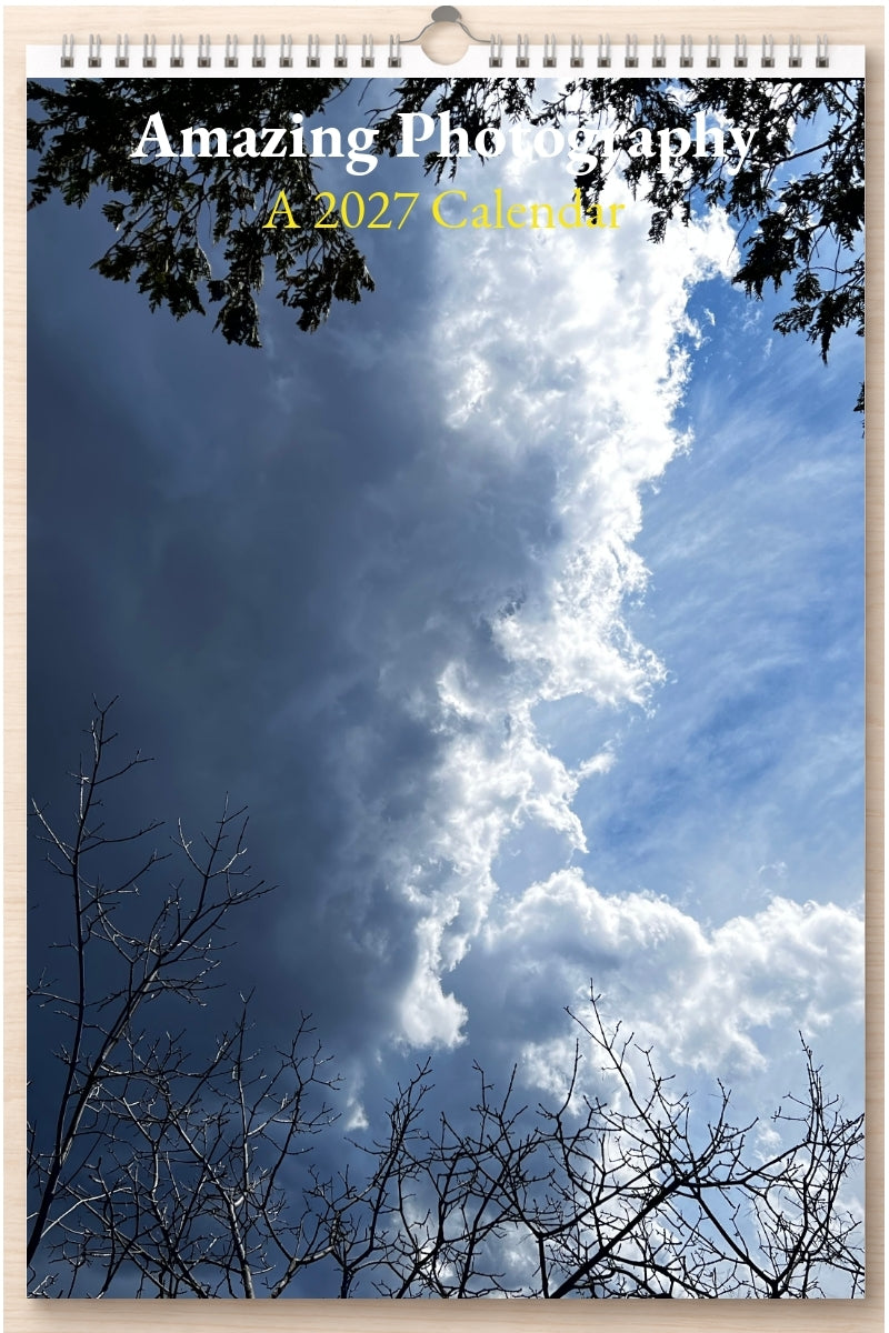 Amazing Photography: A 2027 Calendar