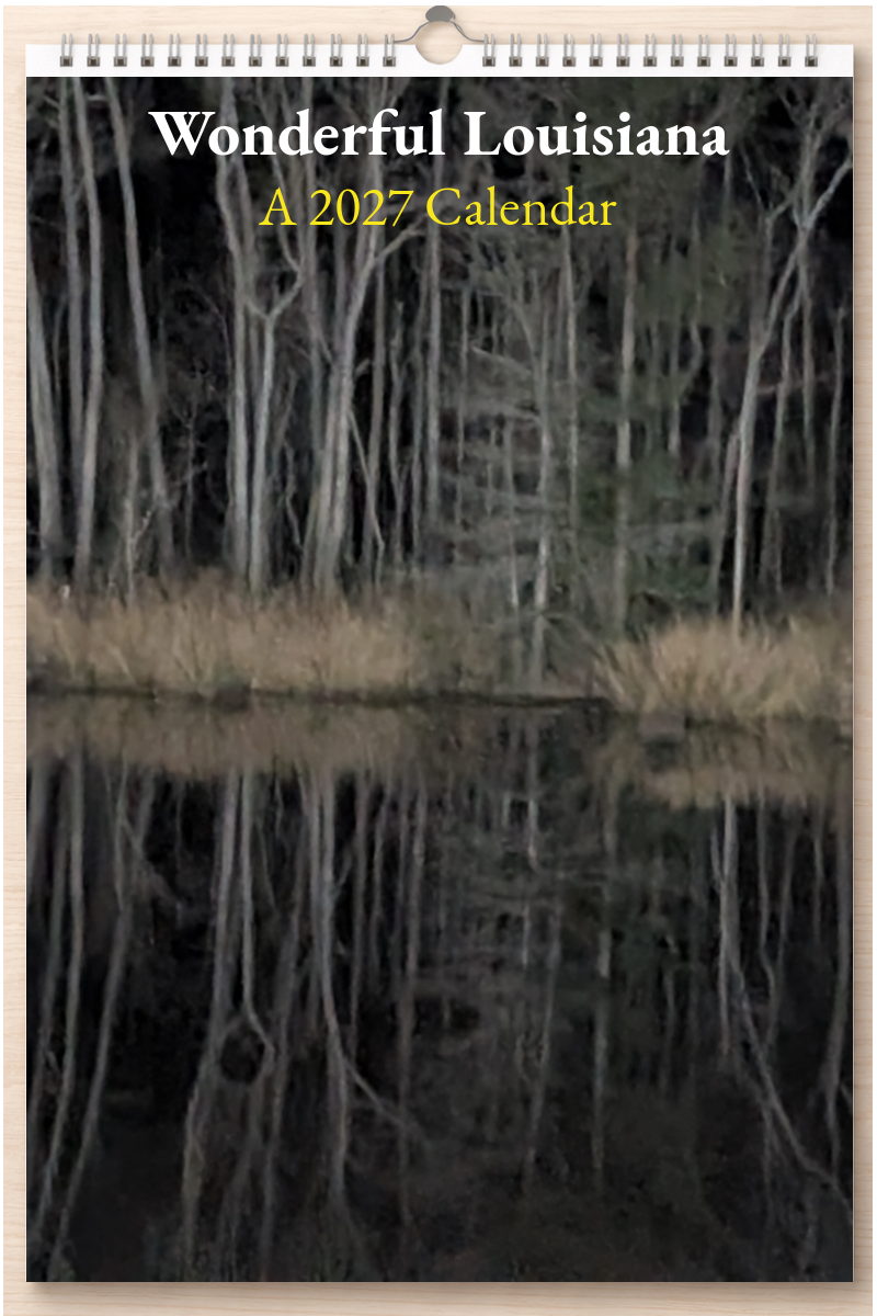 Wonderful Louisiana: A 2027 Calendar