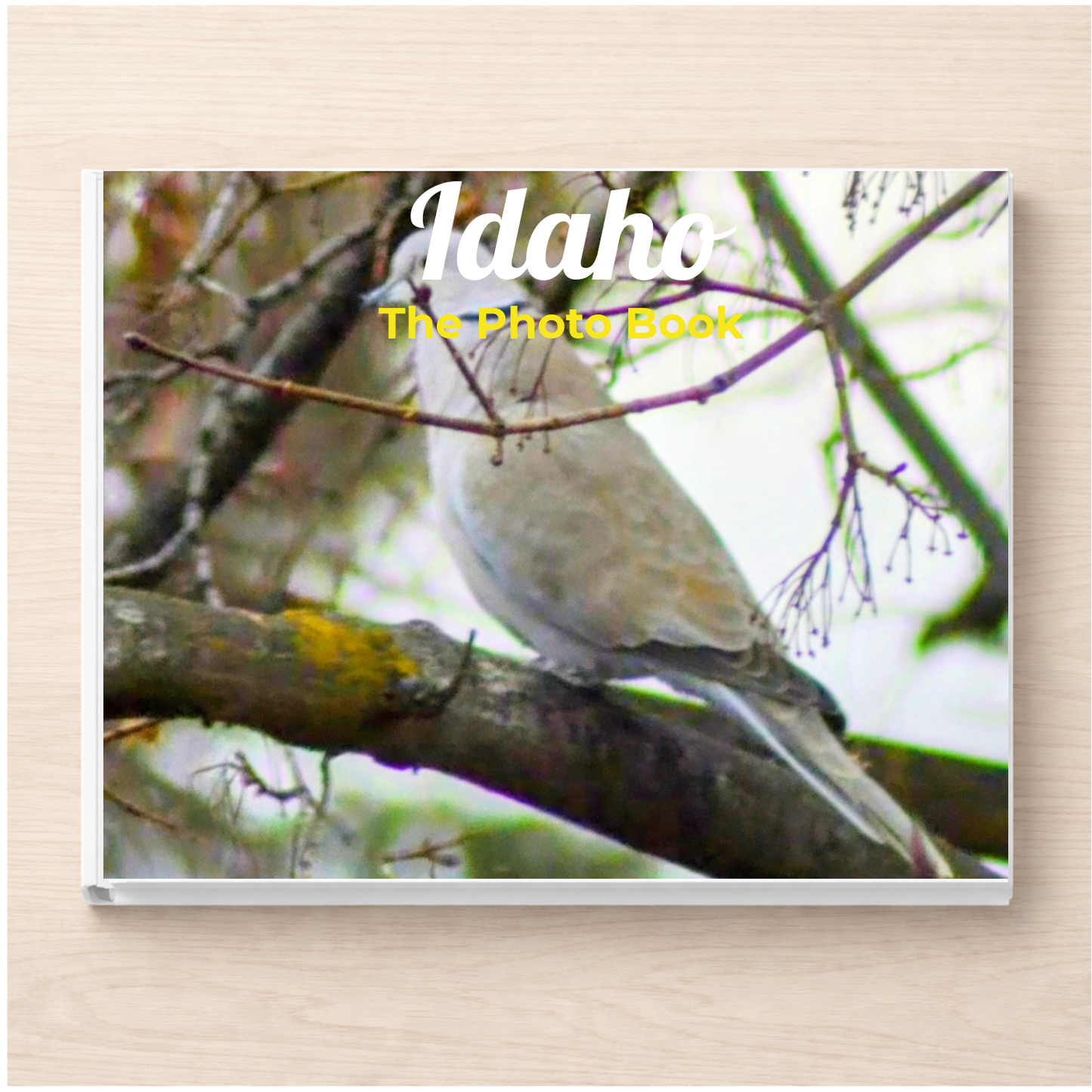 Idaho: The Photo Book