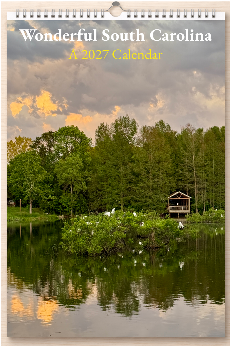 Wonderful South Carolina: A 2027 Calendar